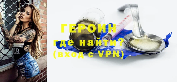 индика Нягань