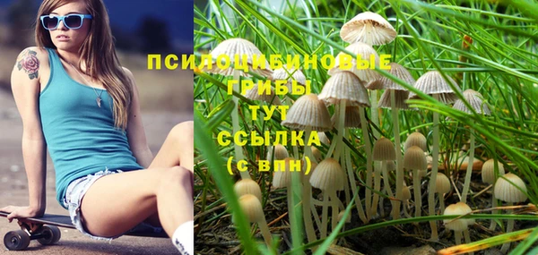 Альфа ПВП Няндома