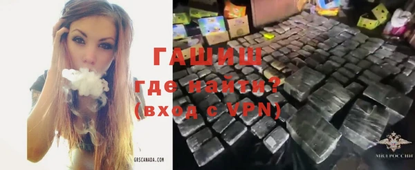 индика Нягань