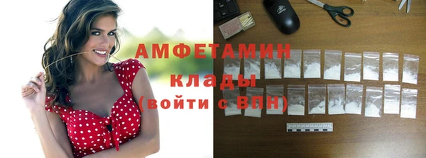 Альфа ПВП Няндома
