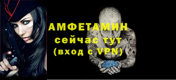 индика Нягань