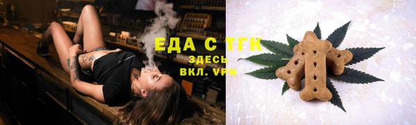 индика Нягань