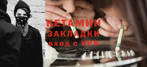 индика Нягань