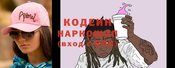 Альфа ПВП Няндома