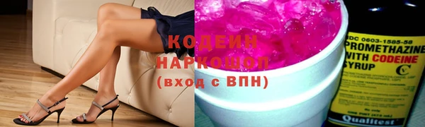индика Нягань
