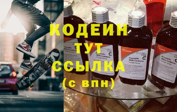 индика Нягань