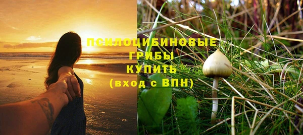 apvp Осташков