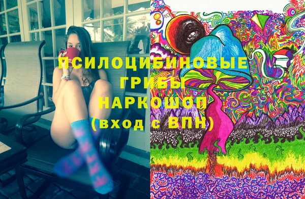 Альфа ПВП Няндома