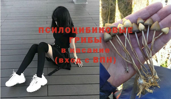 Альфа ПВП Няндома