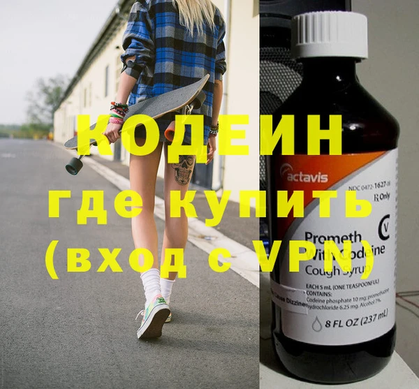индика Нягань