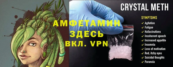 индика Нягань