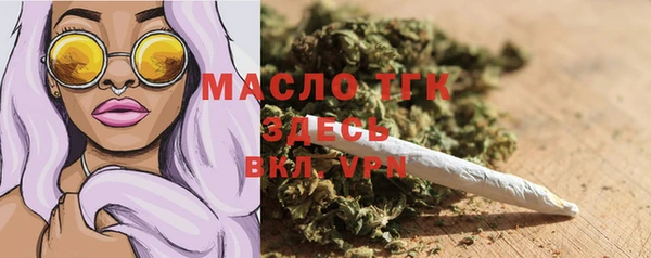 индика Нягань