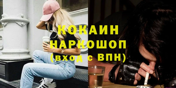 Альфа ПВП Няндома