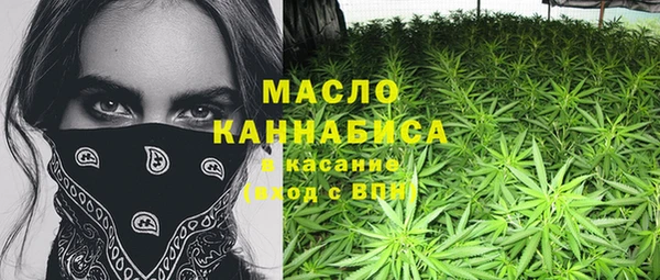 индика Нягань