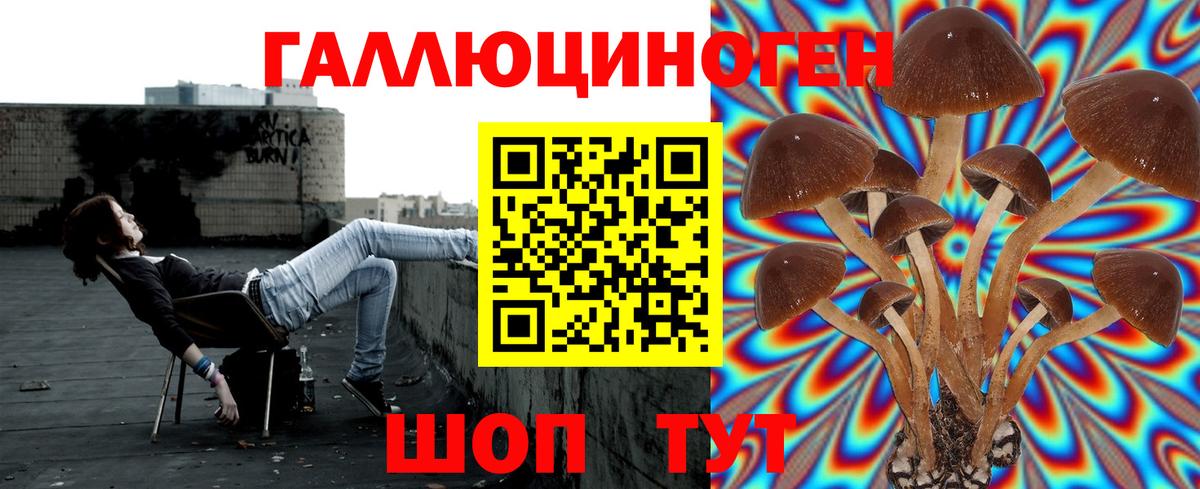 Старая Русса  Галлюциногенные грибы Psilocybe  Вход с VPN 